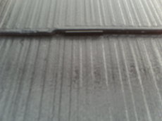 PICT0124.JPG