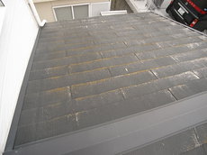R0015029.JPG