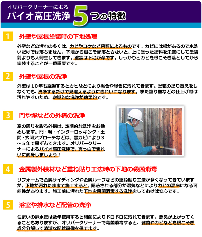 特徴