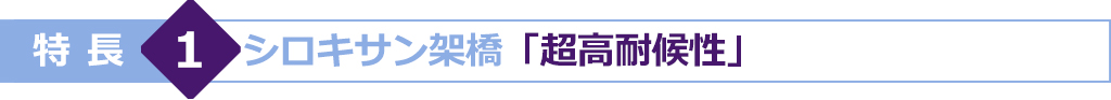 特長1　シロキサン架橋「超高耐候性」