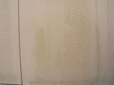 R0016993.JPG