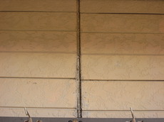 R0017593.JPG