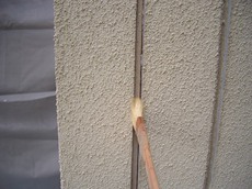 CIMG3773.JPG