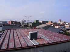 R0020692.JPG