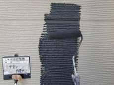 CIMG3632.JPG