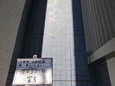 CIMG3660.JPG