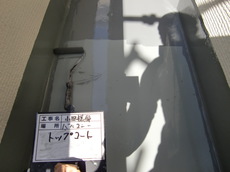 CIMG3674.JPG