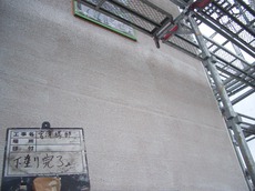 CIMG3940.JPG