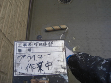 CIMG1543.JPG